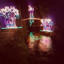 evepa88#angarrack #lights #angarracklights #cornwall #christmas